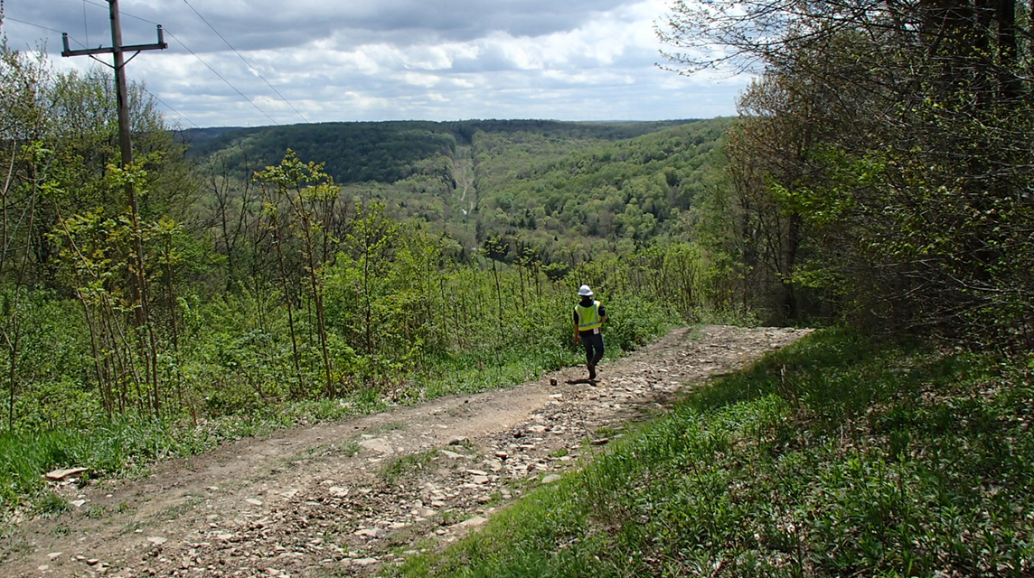 Ashville-Sankertown Tap 46kV 87 Line Project