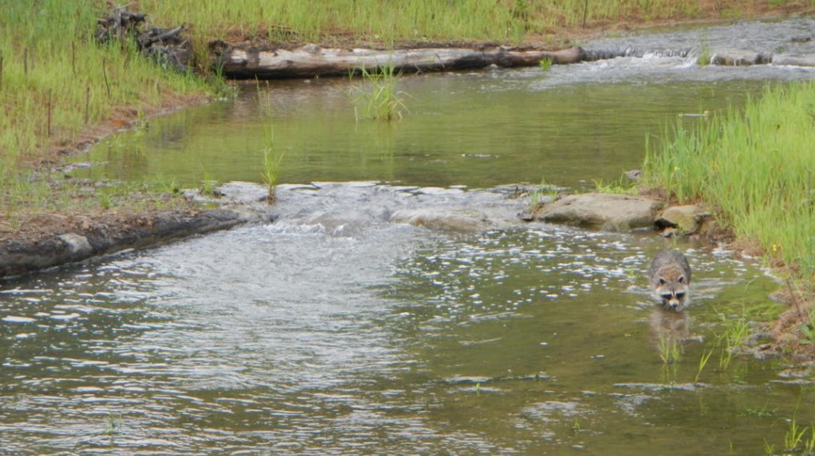 Crabapple Creek Stream and Wetland Mitigation