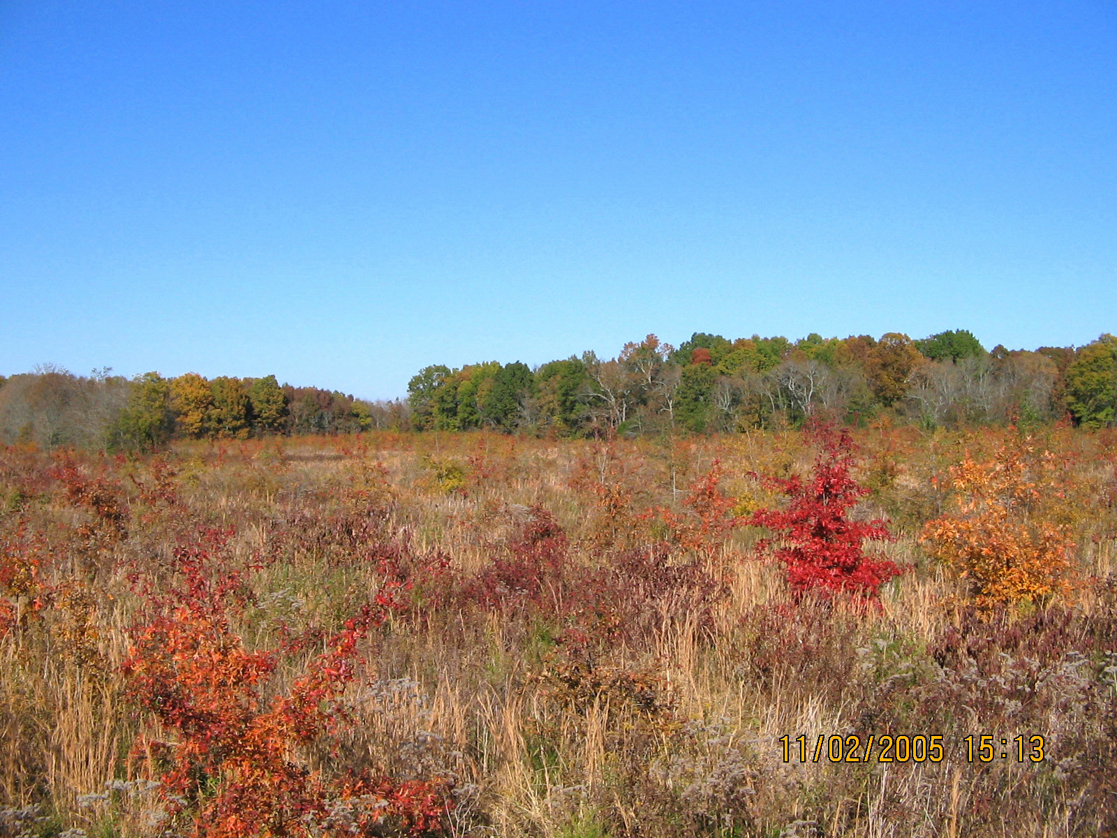Harpeth Wetland Mitigation Bank