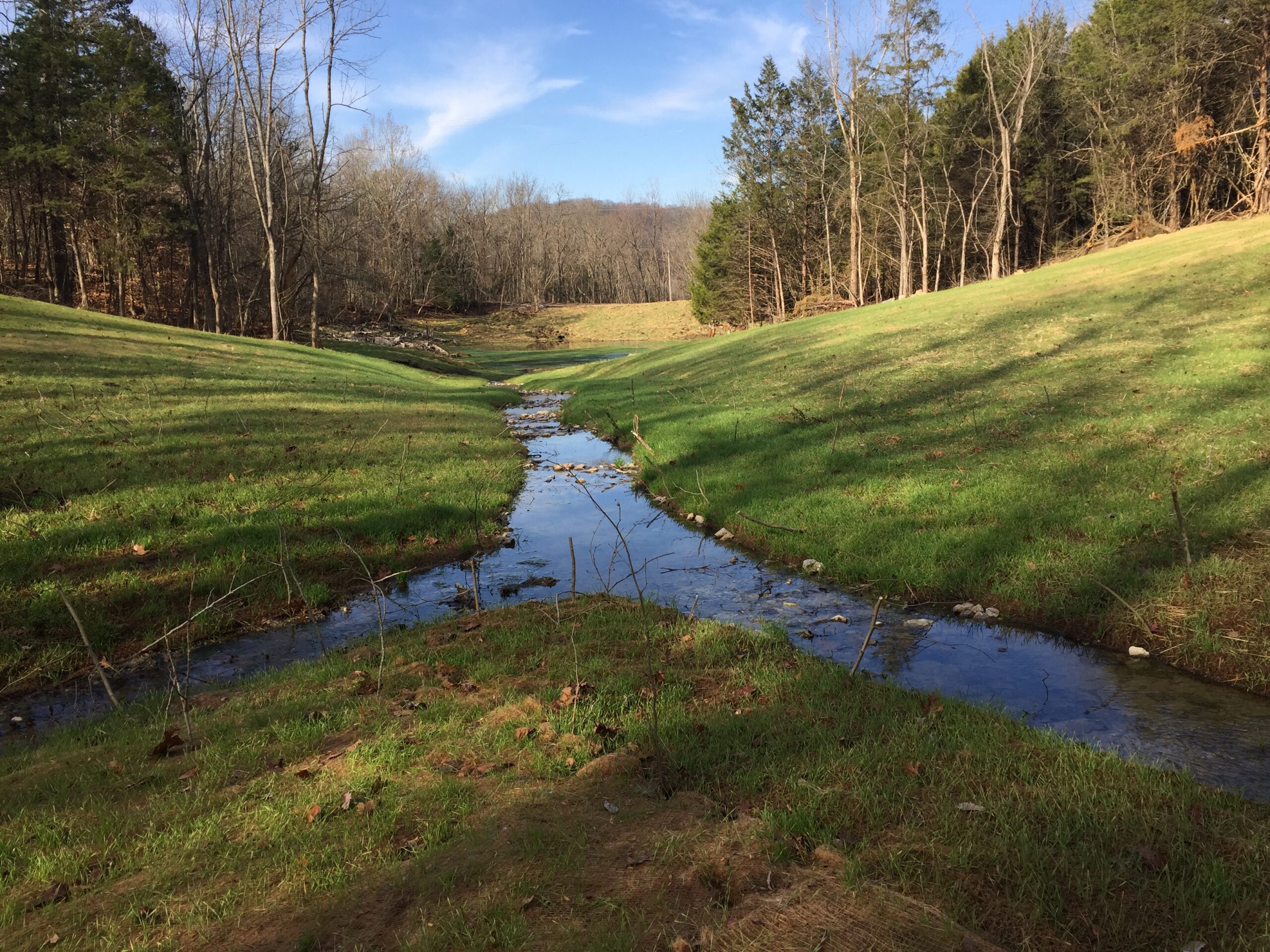 Elmwood Stream Mitigation